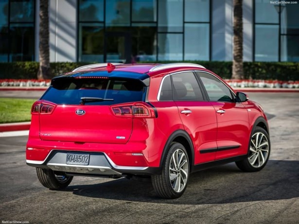 Gün yüzüne çıktı 10