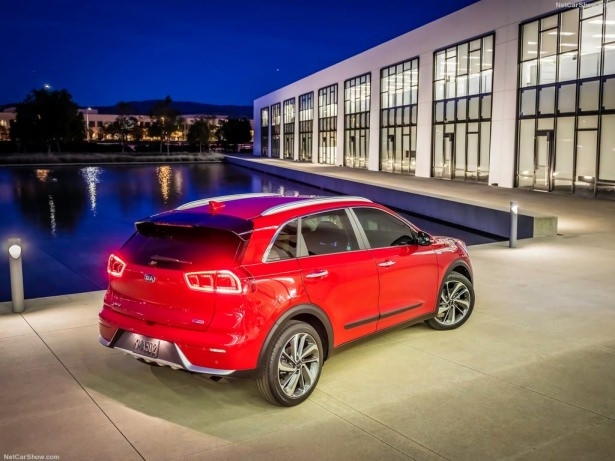 Gün yüzüne çıktı 11