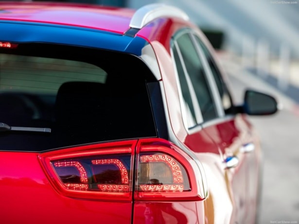 Gün yüzüne çıktı 17