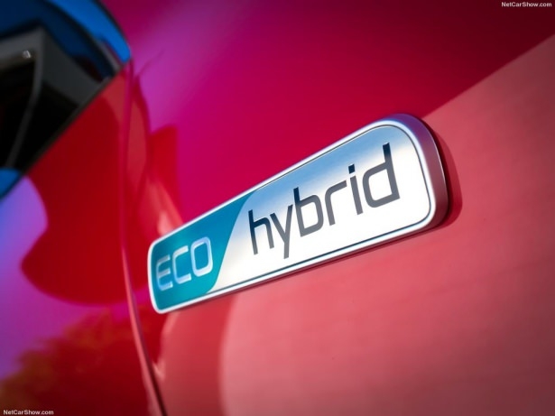 Gün yüzüne çıktı 18