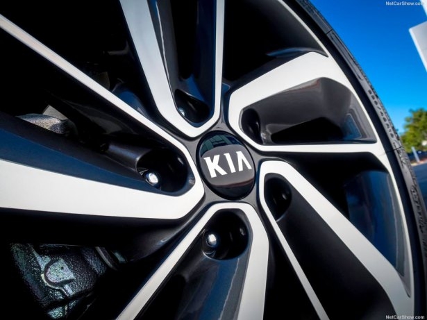 Gün yüzüne çıktı 19