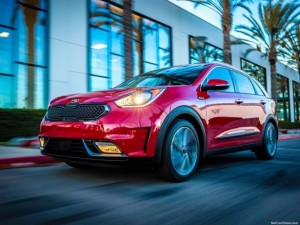 Gün yüzüne çıktı