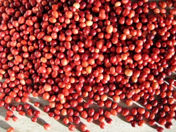 Her derde deva meyve! 15