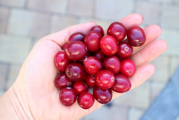 Her derde deva meyve! 5