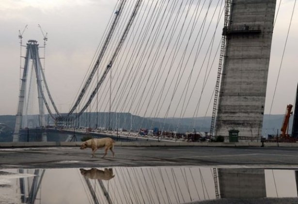 İki yaka birleşti! İşte ilk görüntüler... 32
