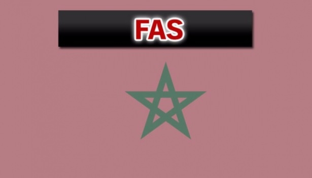 İslam Ordusu'nun tatbikat görüntüleri 199