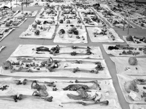 Srebrenitsa katliamının korkunç fotoğrafları