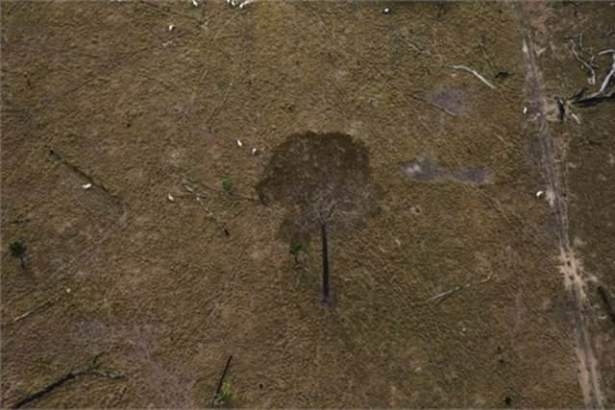 National Geographic en iyileri seçti 28