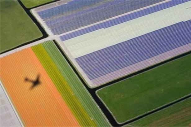 National Geographic en iyileri seçti 35