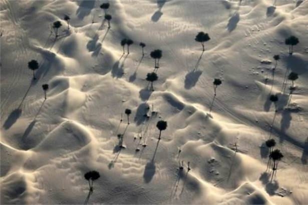 National Geographic en iyileri seçti 36