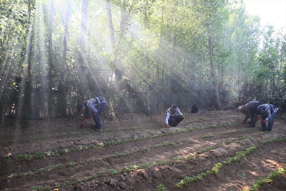 Elleriyle didik didik aradılar 10