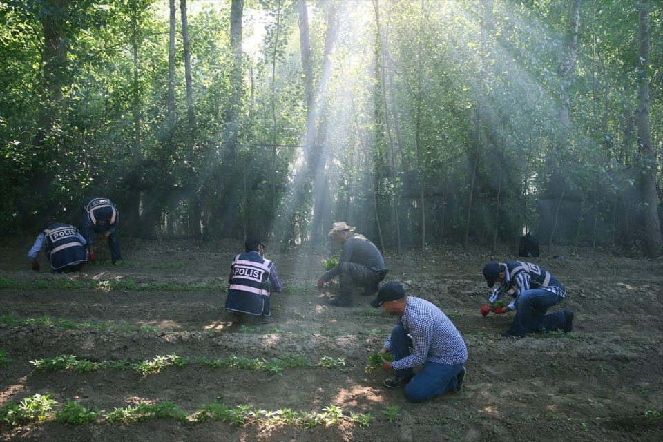 Elleriyle didik didik aradılar 11