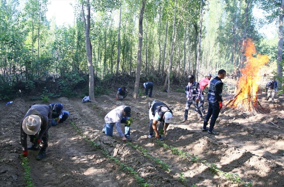 Elleriyle didik didik aradılar 12