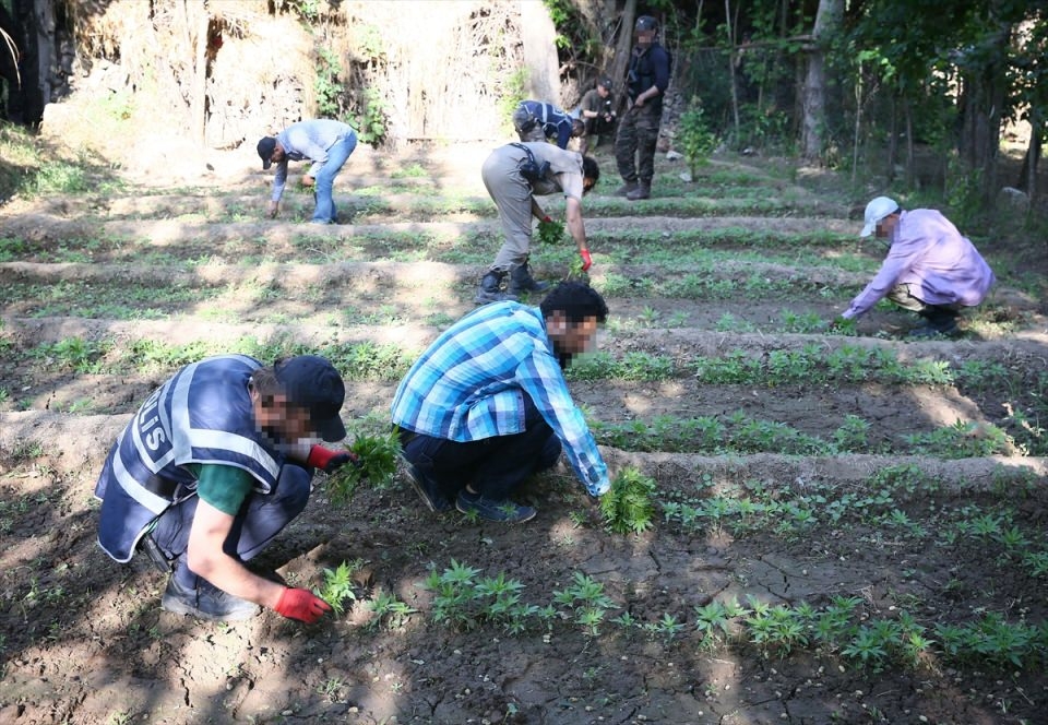 Elleriyle didik didik aradılar 15