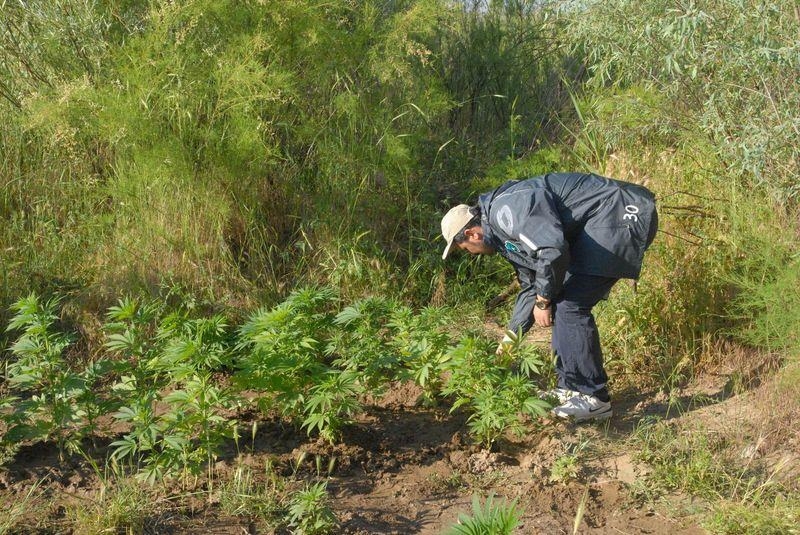Elleriyle didik didik aradılar 22