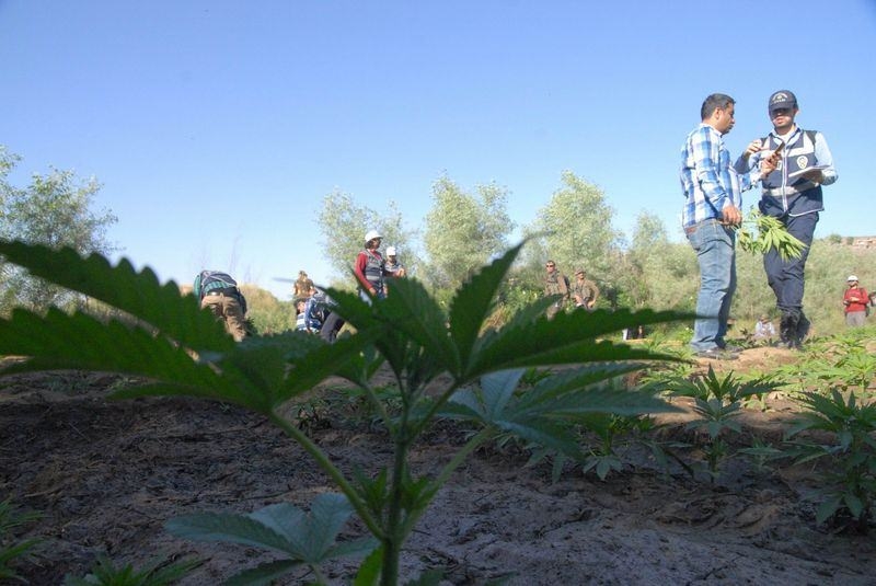 Elleriyle didik didik aradılar 23