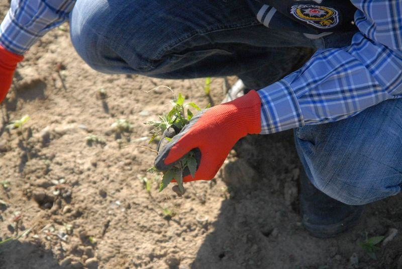 Elleriyle didik didik aradılar 24