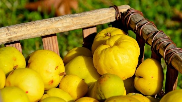 Peygamberimizin en sevdiği yiyecekler 24