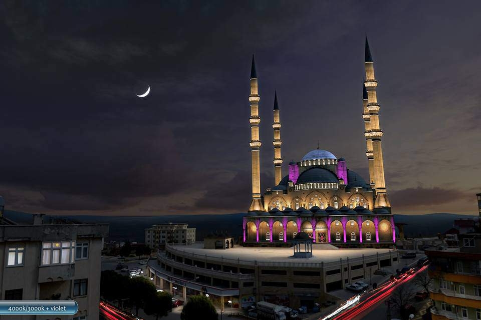 Dünyanın en ilginç camileri 40