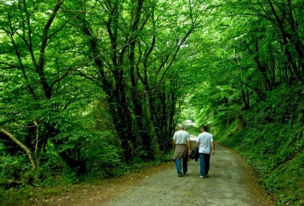 En sağlıklı iftar nasıl olmalı? 26