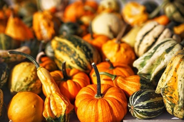 Osmanlı padişahlarının iftar sofrası nasıldı? 22