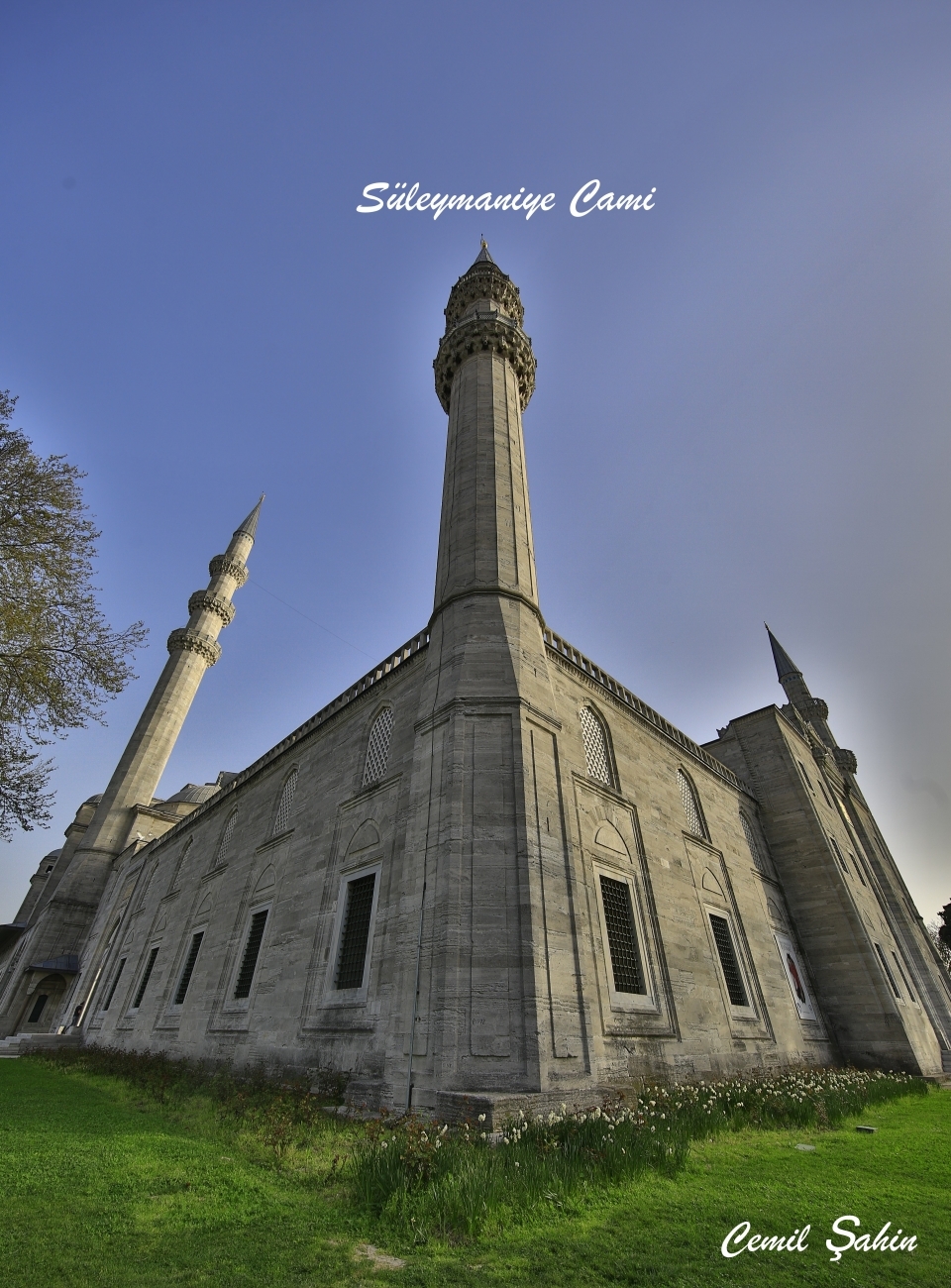 Camilerimizi bir de böyle görün! 6