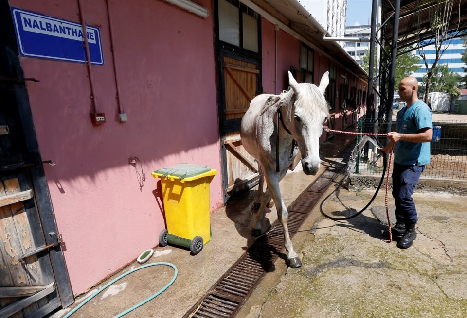 İzmir'de "Dört nala" güvenlik 23