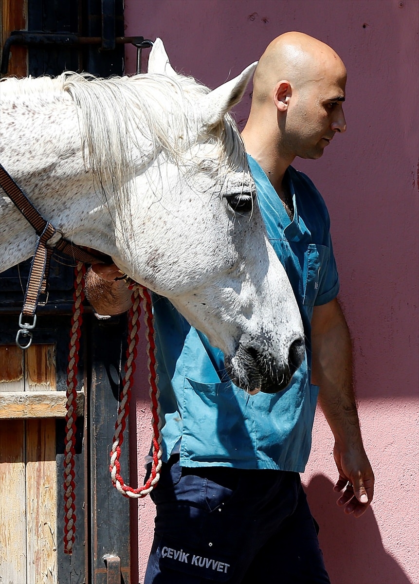 İzmir'de "Dört nala" güvenlik 24