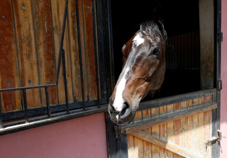 İzmir'de "Dört nala" güvenlik 25
