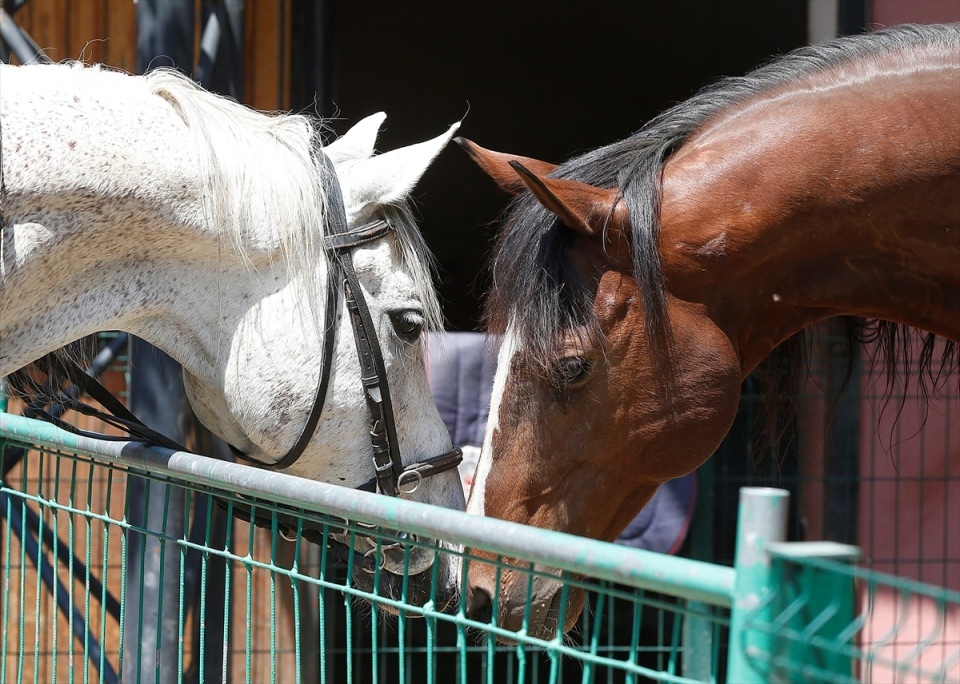 İzmir'de "Dört nala" güvenlik 26