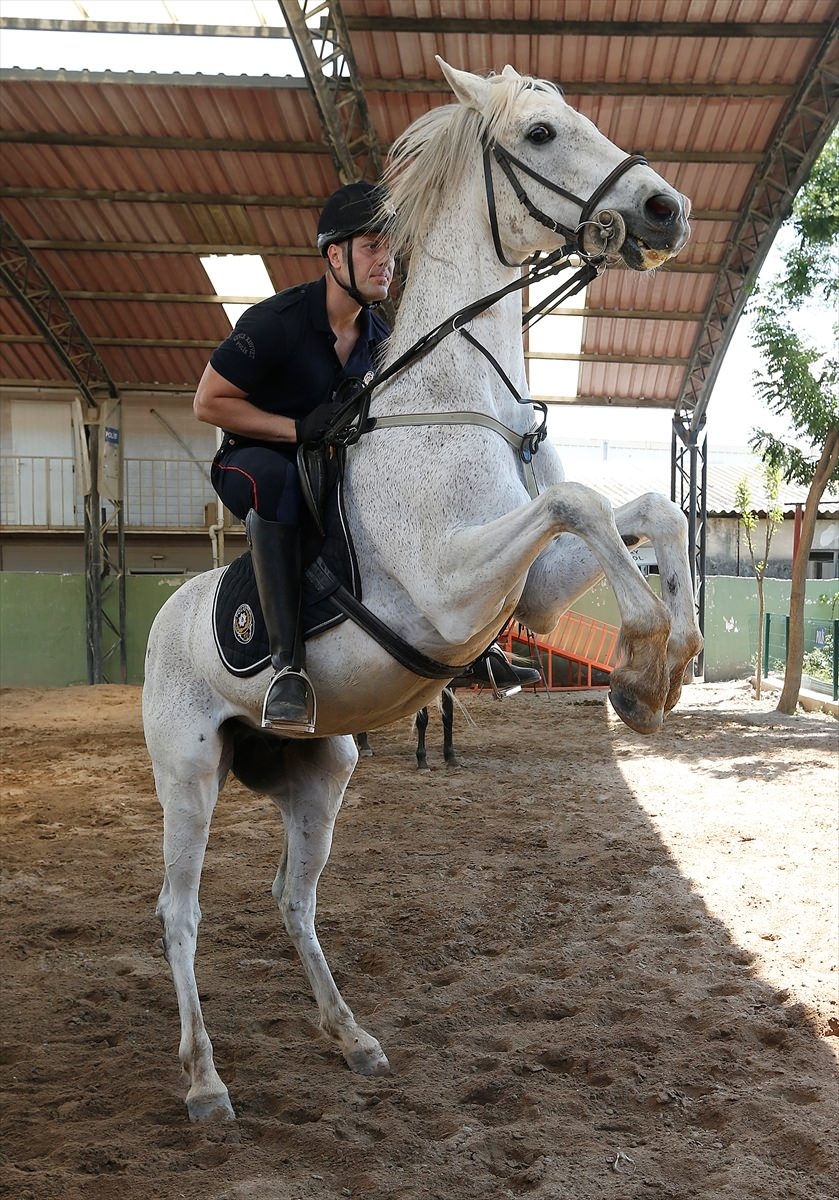 İzmir'de "Dört nala" güvenlik 27