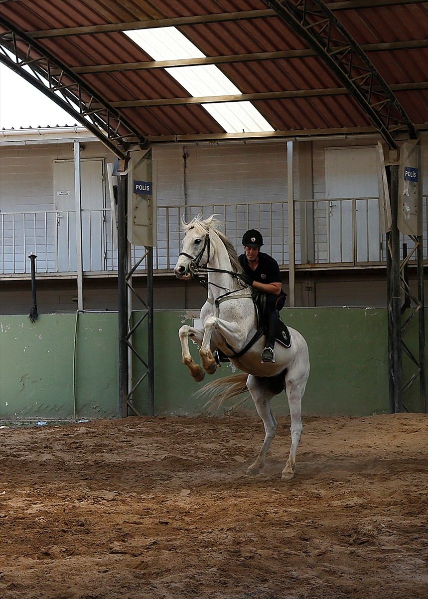 İzmir'de "Dört nala" güvenlik 28