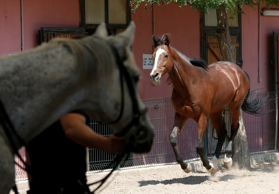 İzmir'de "Dört nala" güvenlik 9