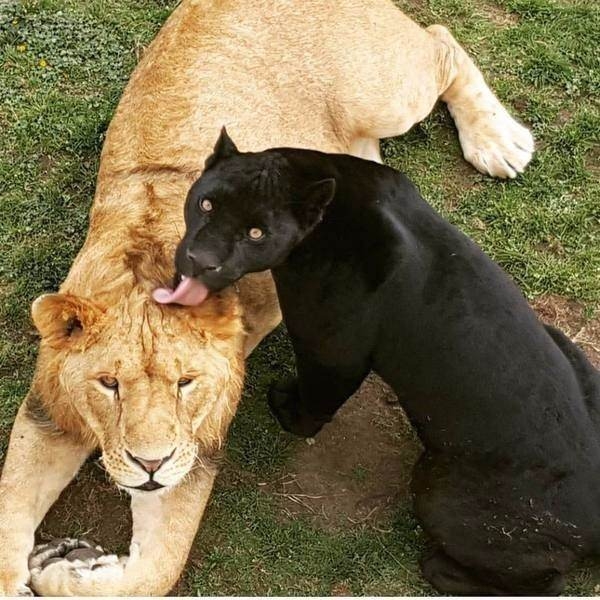 Birbirinden ilginç enteresan fotoğraflar 10