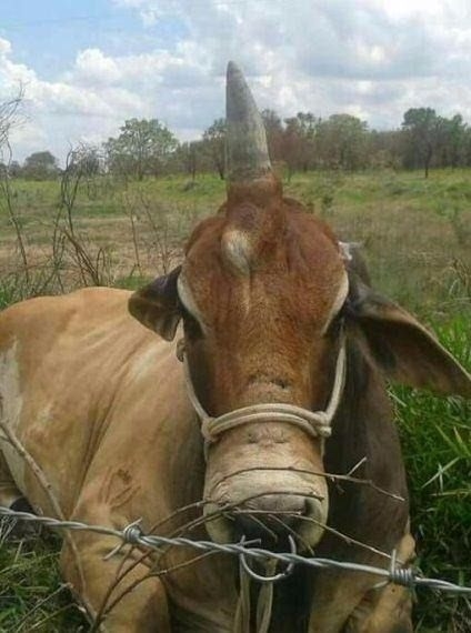 Birbirinden ilginç enteresan fotoğraflar 31