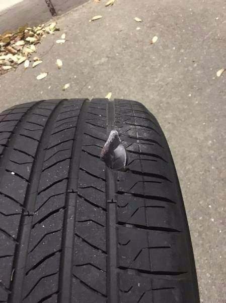 Birbirinden ilginç enteresan fotoğraflar 38