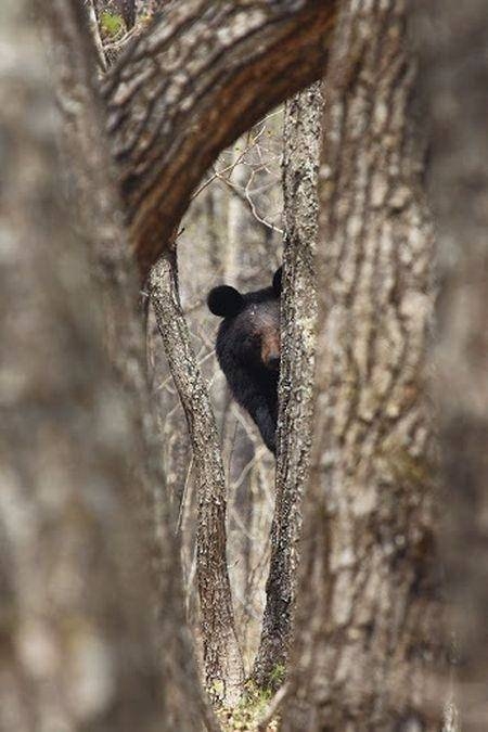 Birbirinden ilginç enteresan fotoğraflar 41