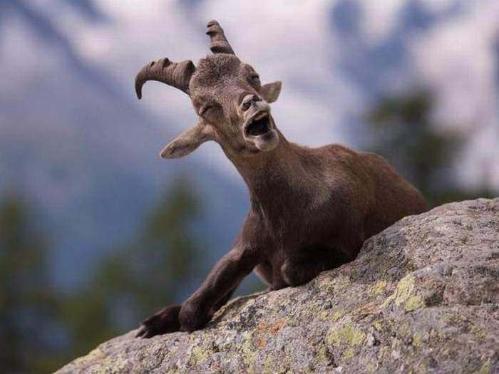 Birbirinden ilginç enteresan fotoğraflar 49