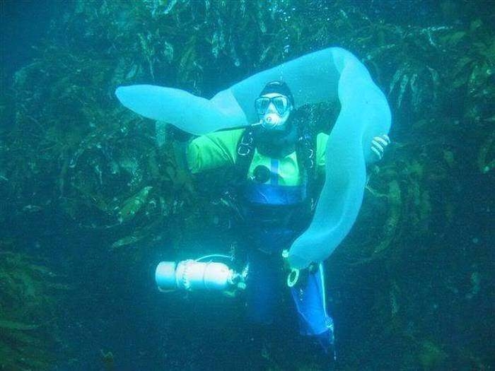 Birbirinden ilginç enteresan fotoğraflar 58