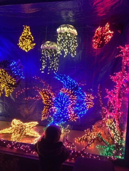 Birbirinden ilginç enteresan fotoğraflar 8