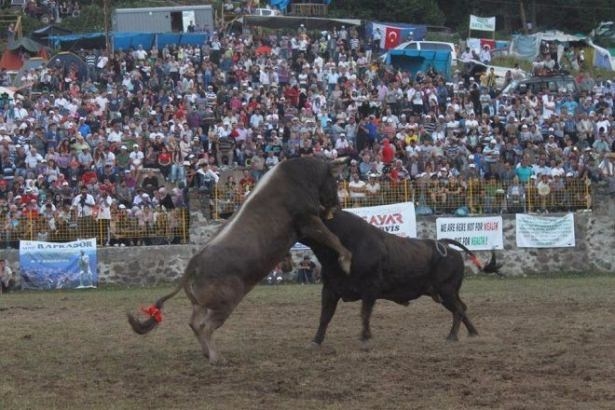 Hangi il neyiyle meşhur? 11