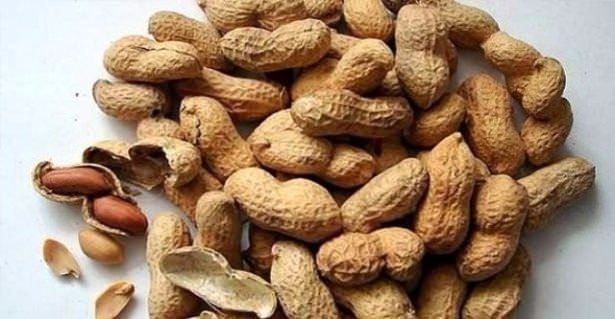 Hangi il neyiyle meşhur? 65