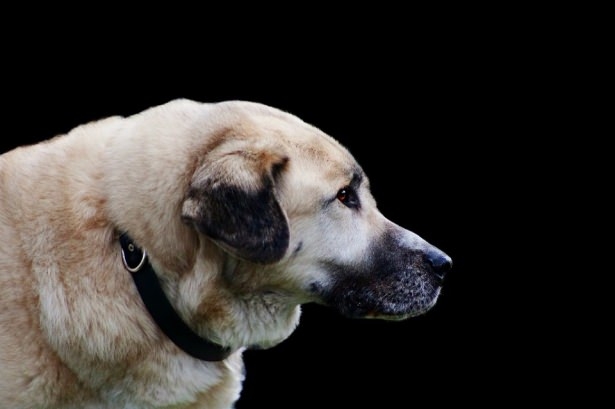 Hangi il neyiyle meşhur? 71