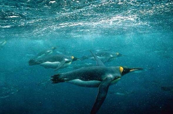 Daha önce böylesini görmediniz! 11