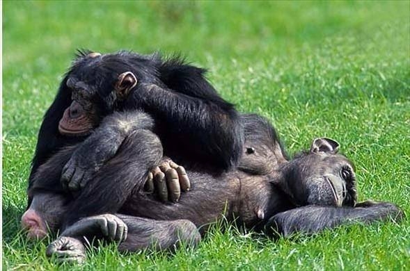 Daha önce böylesini görmediniz! 13