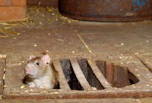 Daha önce böylesini görmediniz! 14