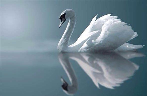 Daha önce böylesini görmediniz! 21