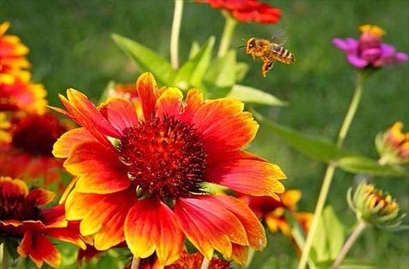 Daha önce böylesini görmediniz! 22