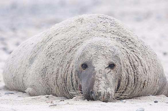 Daha önce böylesini görmediniz! 23