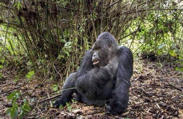 Daha önce böylesini görmediniz! 57